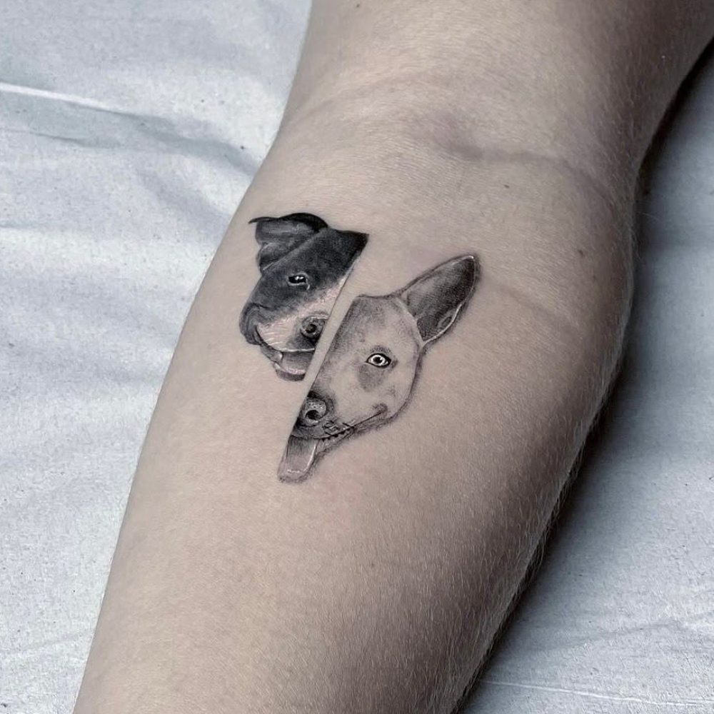 12e5fdc2-e2a0-4437-affb-71a5a6798c17