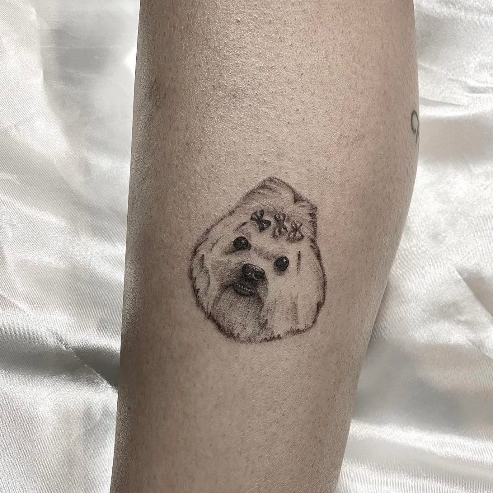 f54ceaf4-532c-45bf-beb8-ce99dc7d2d0f